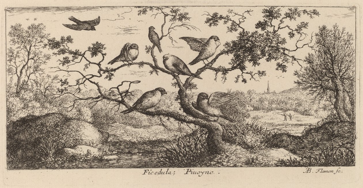 Ficedula, le bouvreuil - Albert Flamen