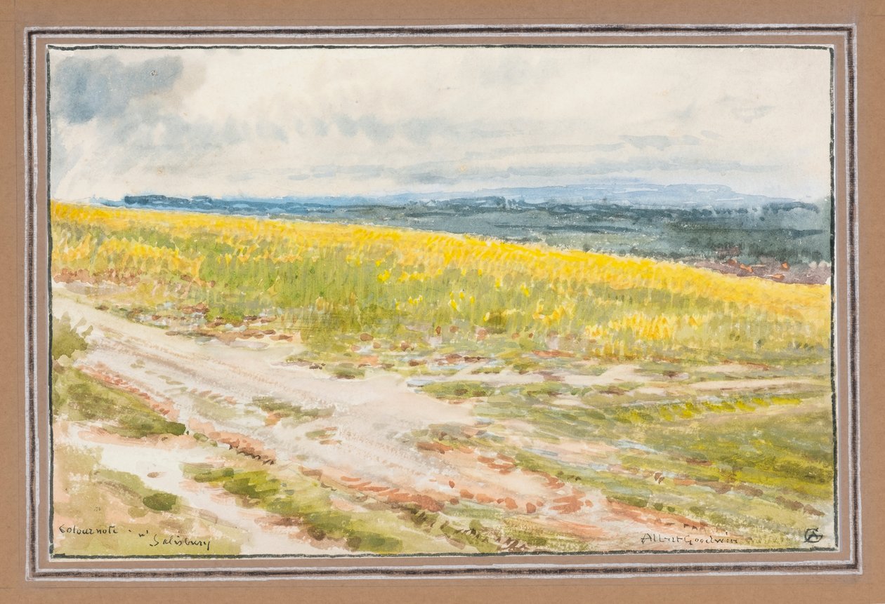 Note de couleur près de Salisbury - Albert Goodwin