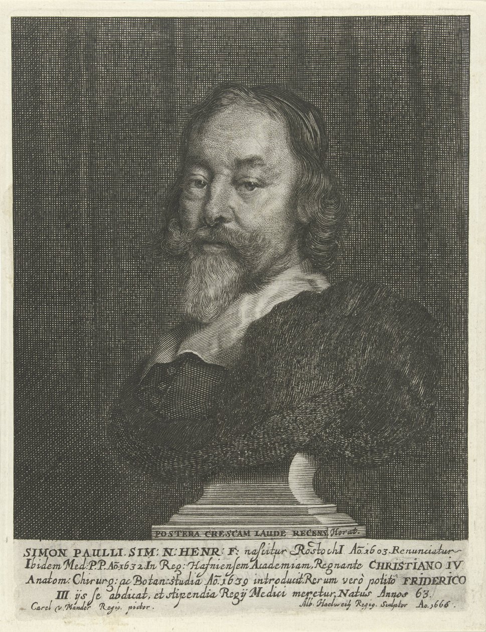 Buste de Simon Paulli - Albert Haelwegh
