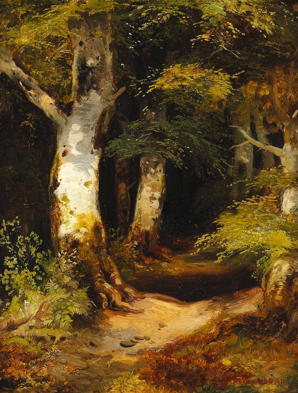 Route forestière - Albert Zimmermann