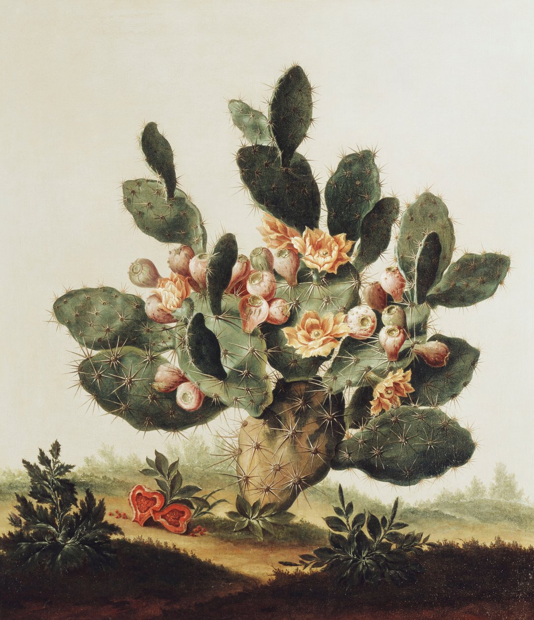 Nature morte d