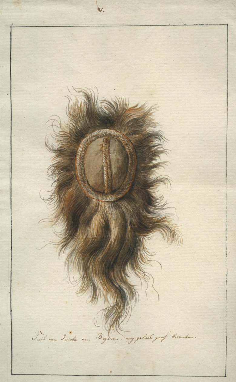 La coiffe de Jacoba van Beijeren - Albertus Frese de Jonge