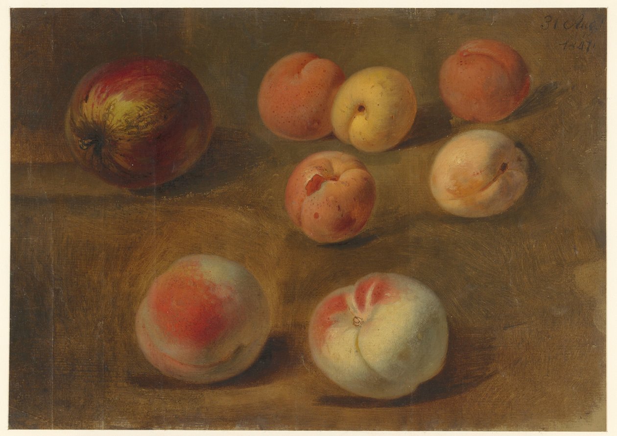 Nature morte avec pomme, pêches et abricots - Albertus Steenbergen