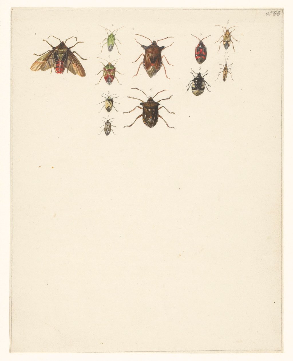 Feuille d