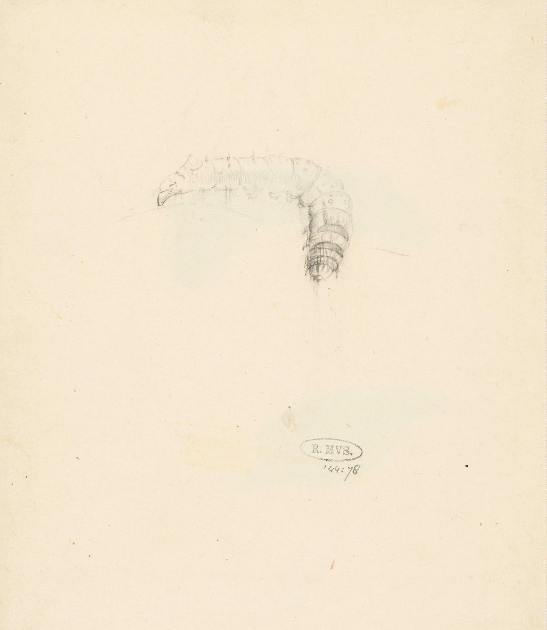Feuille d