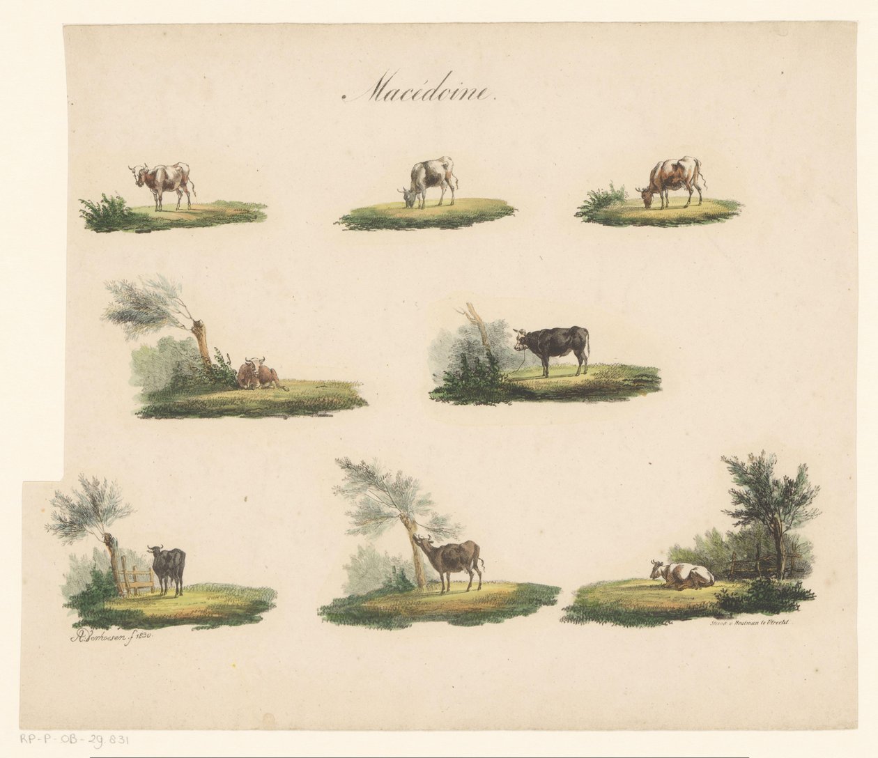Vaches dans le paysage (Macédoine) - Albertus Verhoesen