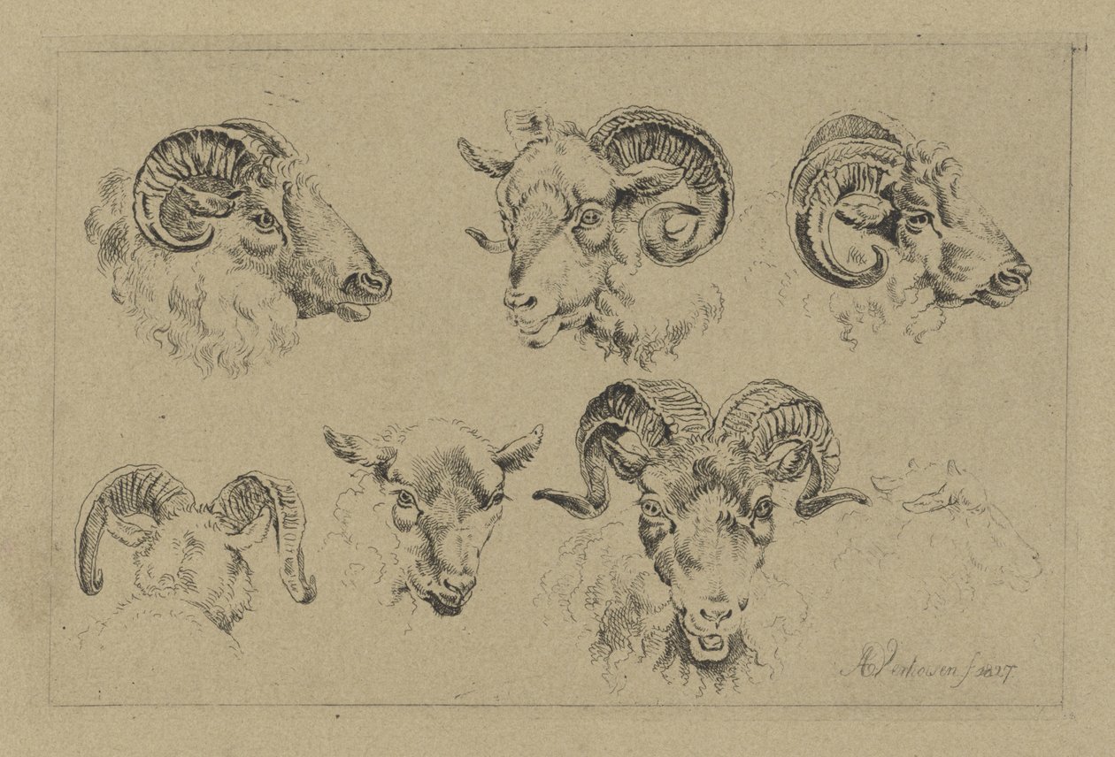 Cinq têtes de bélier et une tête de mouton - Albertus Verhoesen