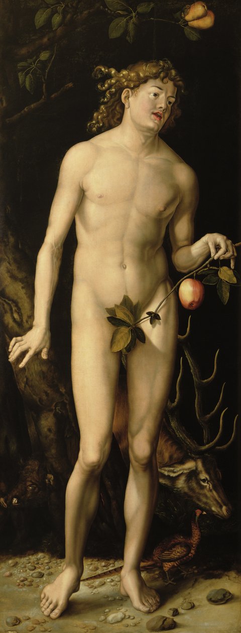 Adam - Albrecht Dürer
