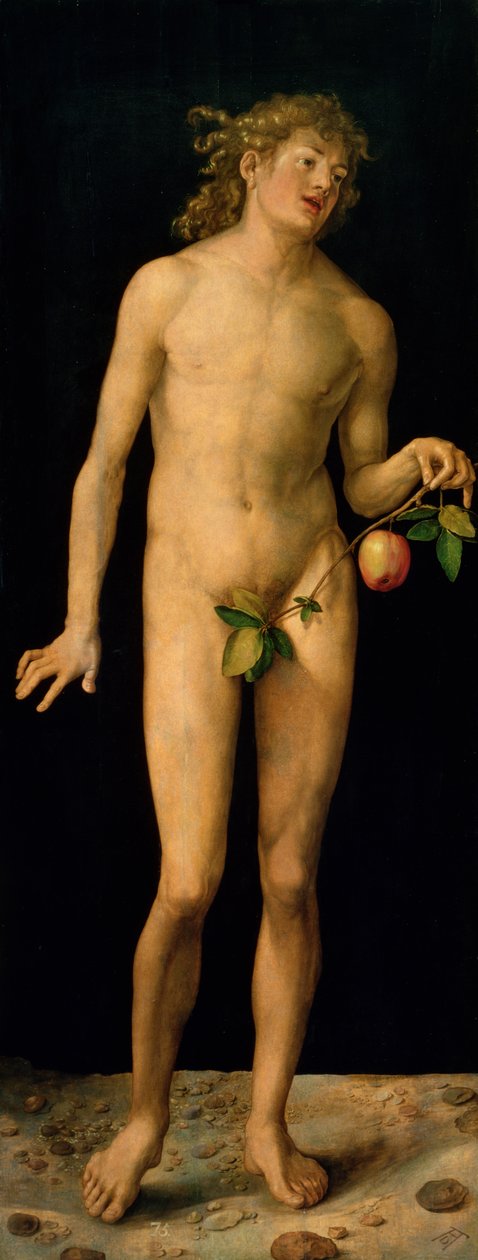 Adam, 1507 - Albrecht Dürer