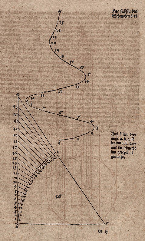 Spirale conique sans lignes auxiliaires - Albrecht Dürer
