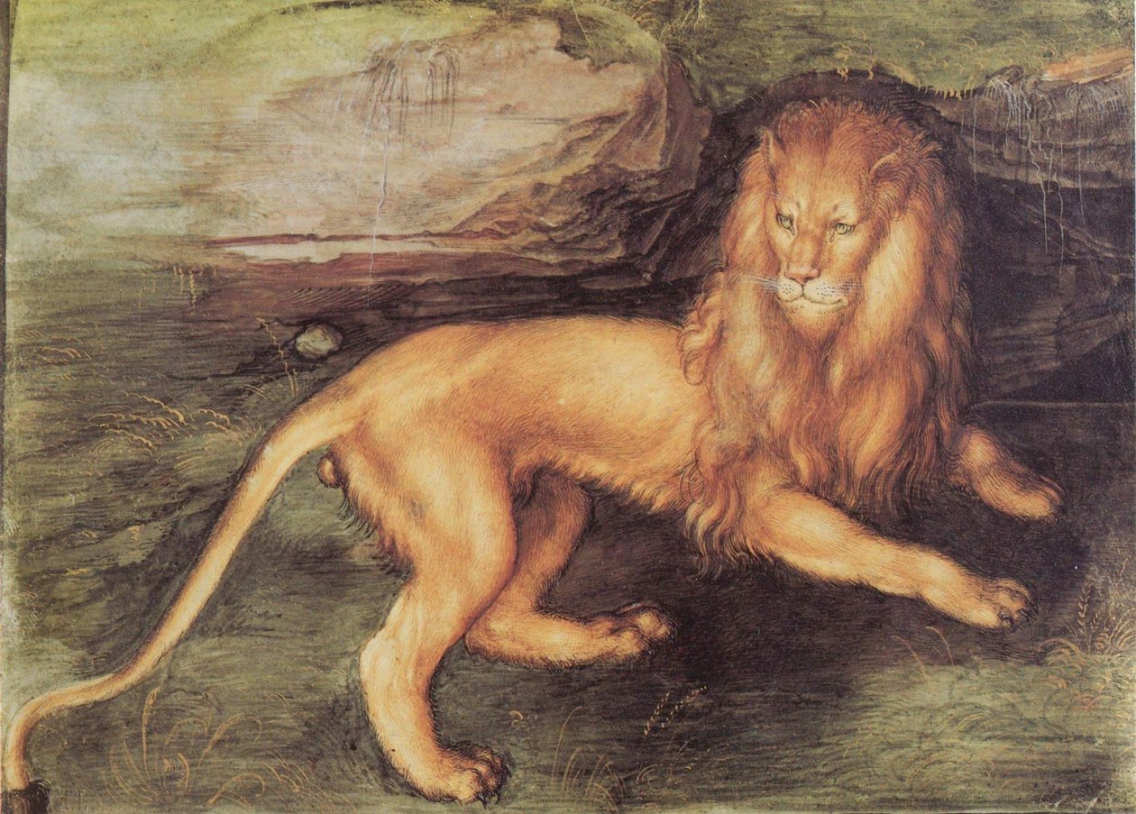 Lion - Albrecht Dürer