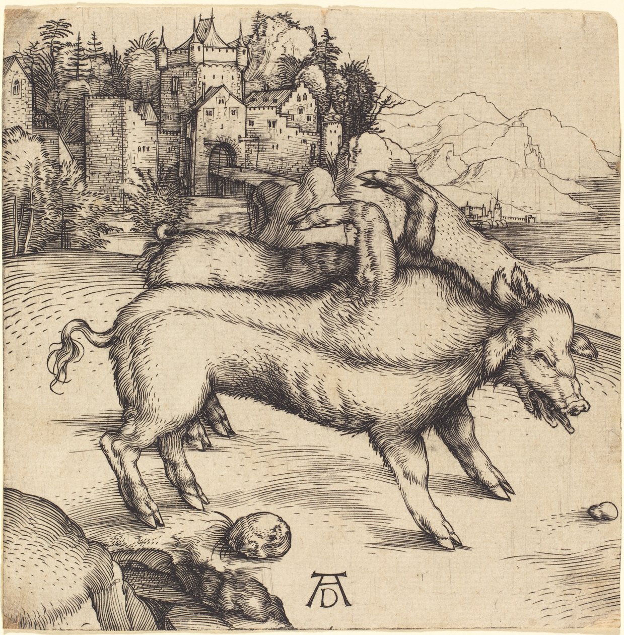 Le Cochon monstrueux de Landser - Albrecht Dürer