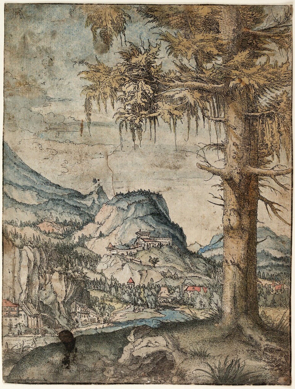 French : Le grand épicéa Large Spruce - Albrecht Altdorfer