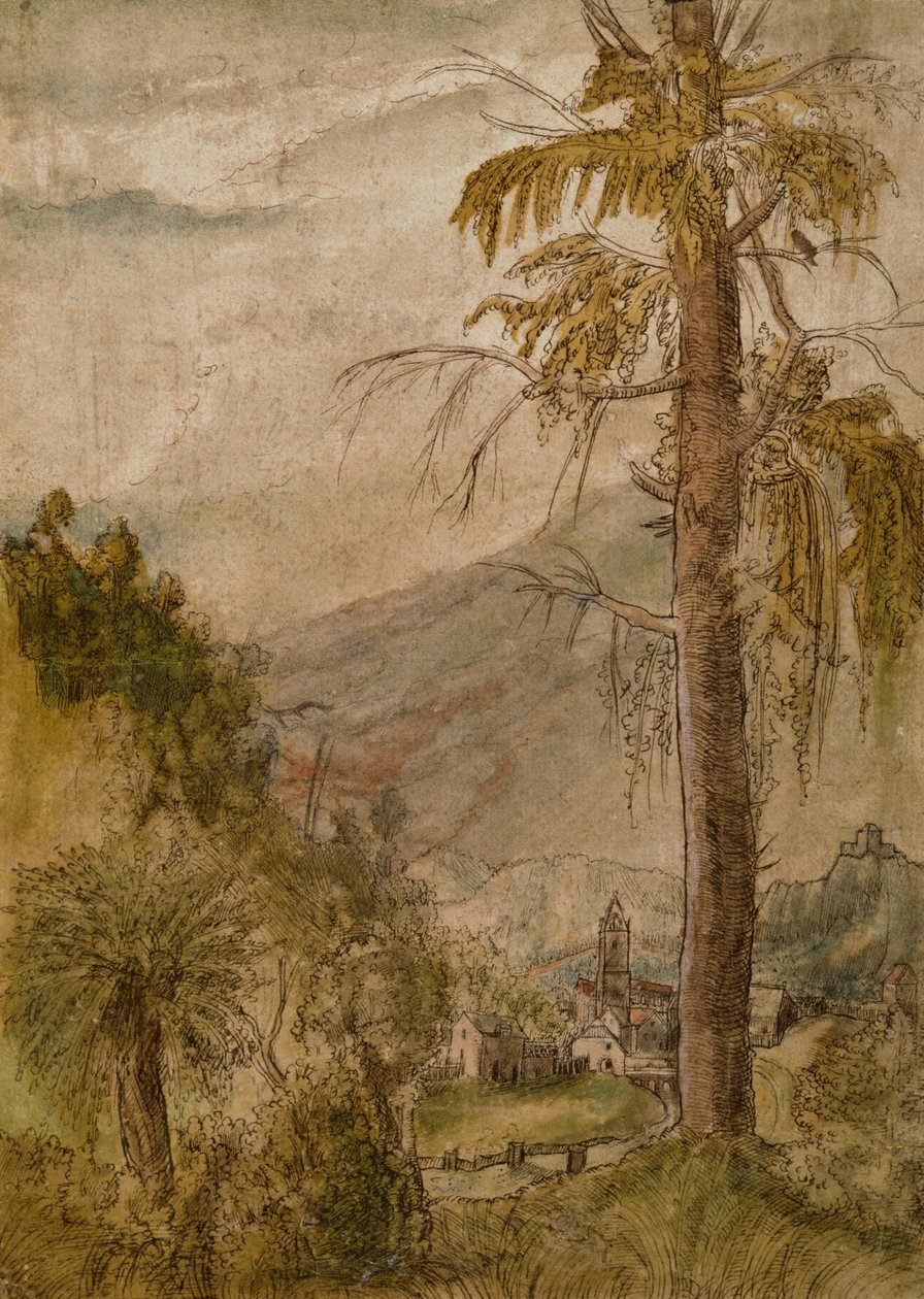 Paysage avec église - Albrecht Altdorfer