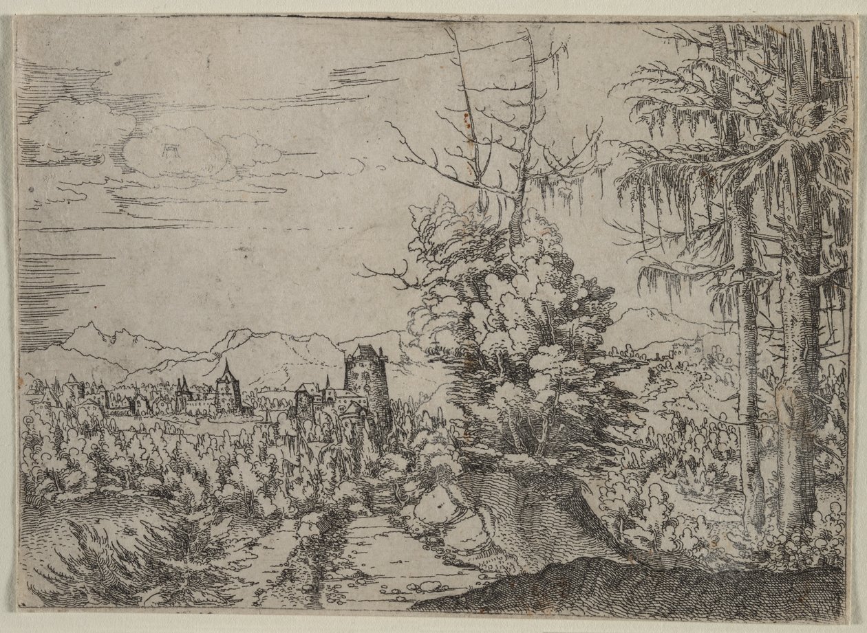 Paysage avec deux pins - Albrecht Altdorfer