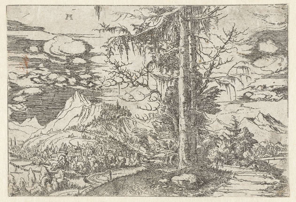 Paysage avec double sapin - Albrecht Altdorfer