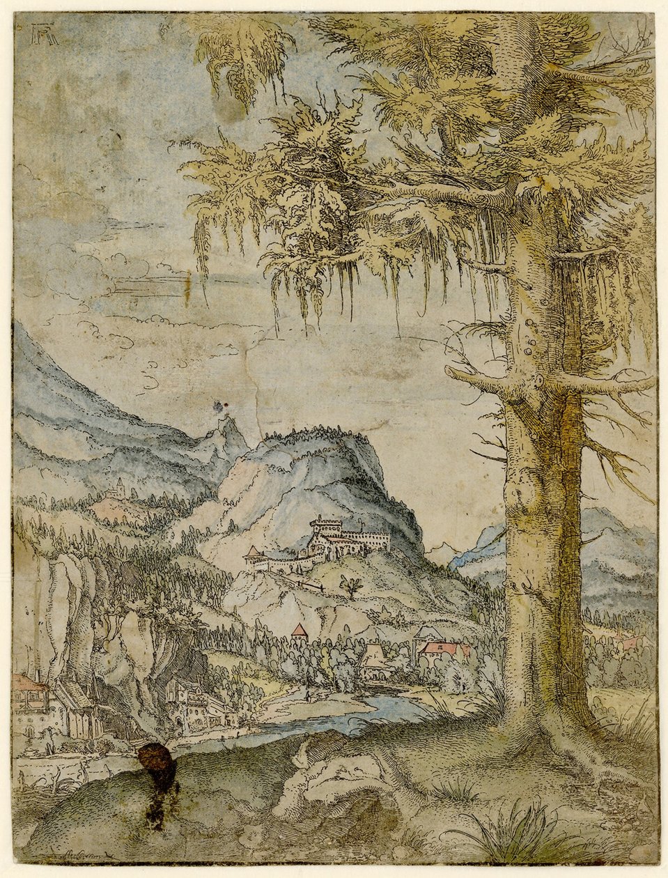 Grand Épicéa - Albrecht Altdorfer
