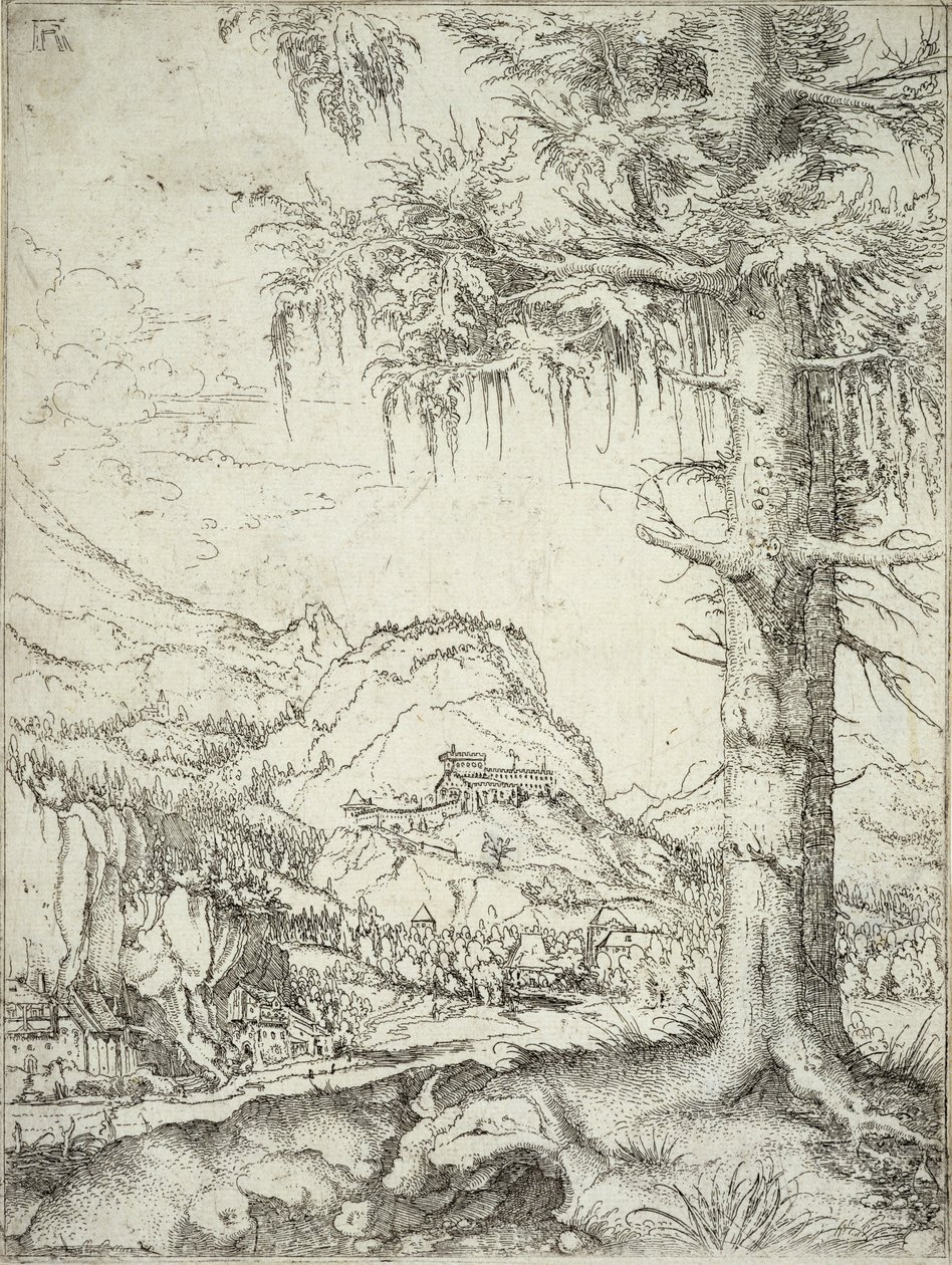 Le grand épicéa, c.1520 - Albrecht Altdorfer