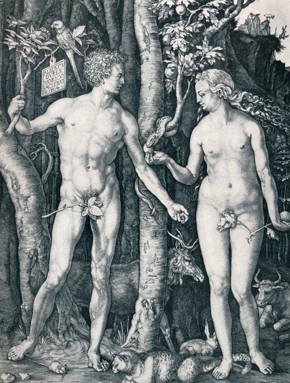 Adam et Ève, 1504 1906 - Albrecht Dürer