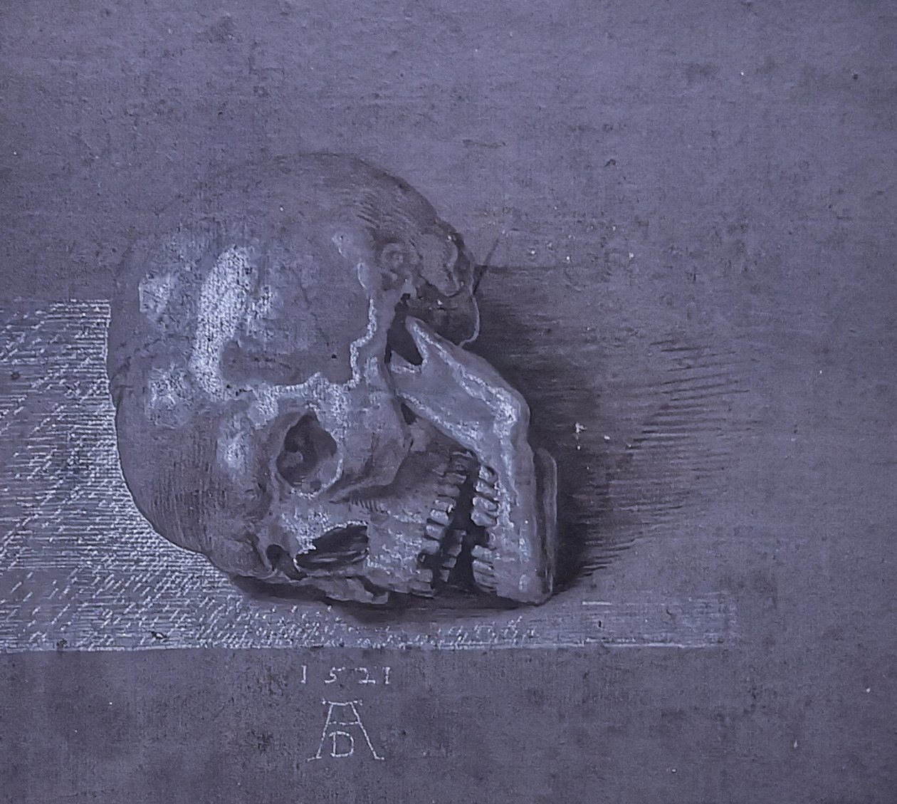 French : Tête de mort. - Albrecht Dürer
