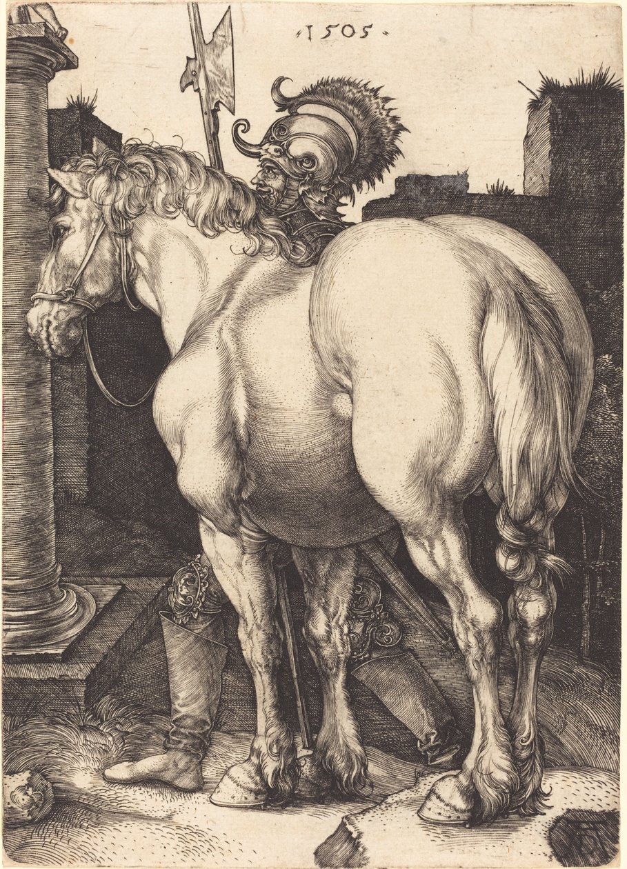 Grand cheval - Albrecht Dürer