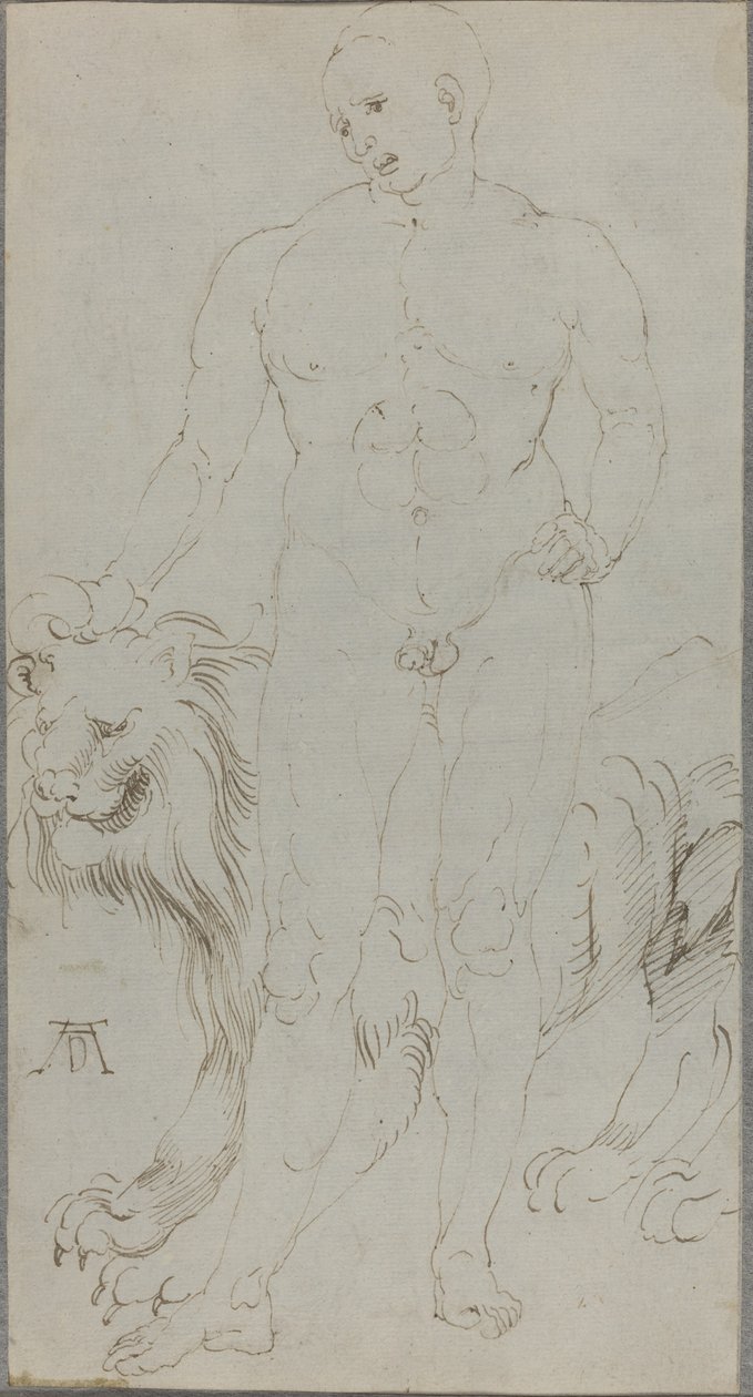 Nu masculin avec un lion (verso) - Albrecht Dürer
