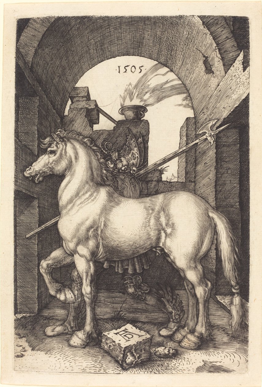 Petit Cheval - Albrecht Dürer
