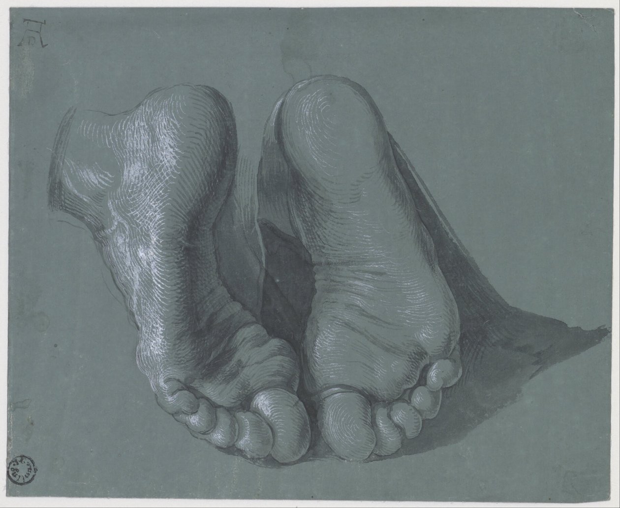 Étude de deux pieds - Albrecht Dürer