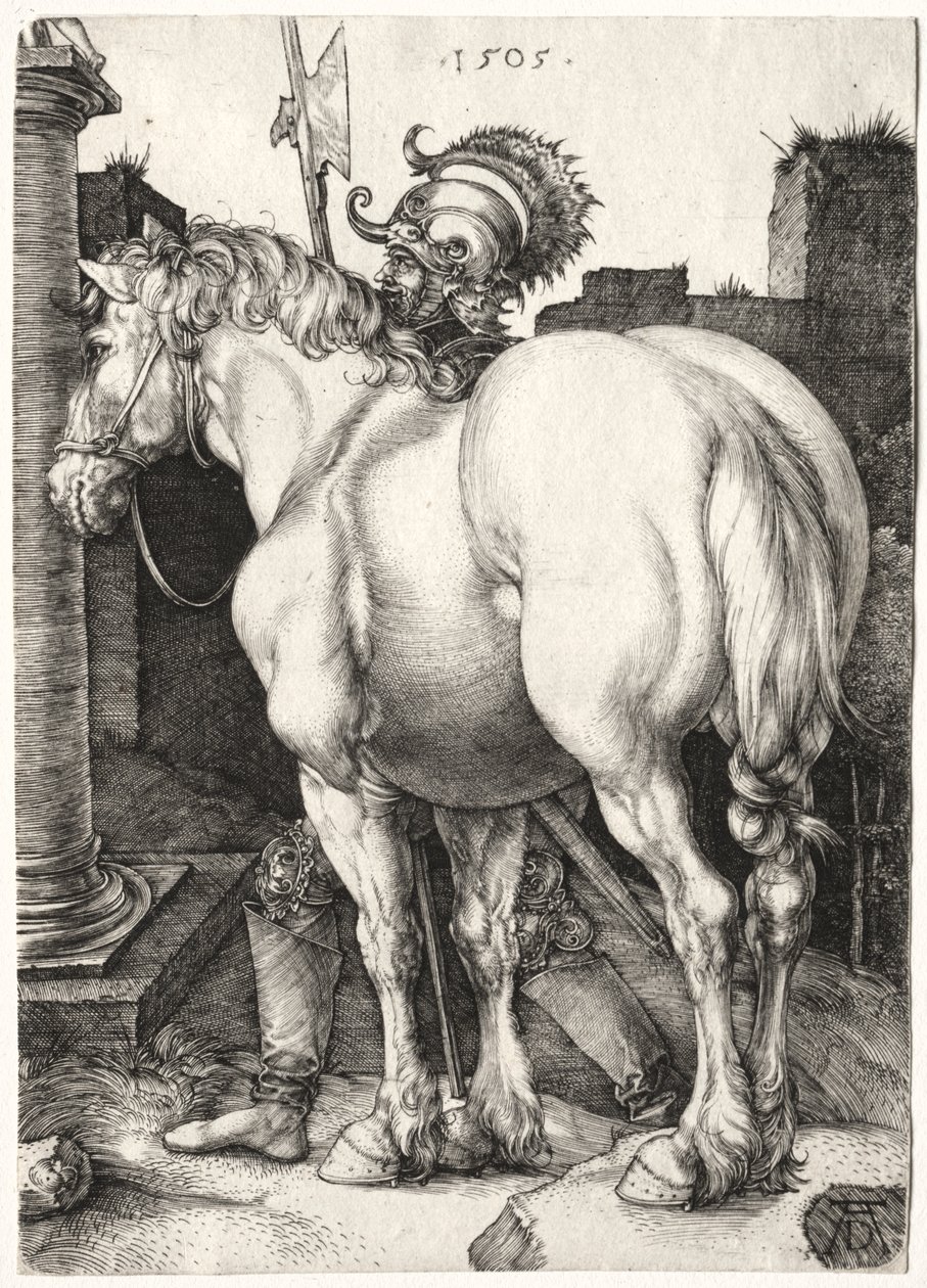 Le Grand Cheval - Albrecht Dürer