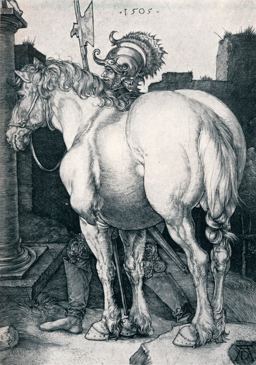 Le Grand Cheval - Albrecht Dürer