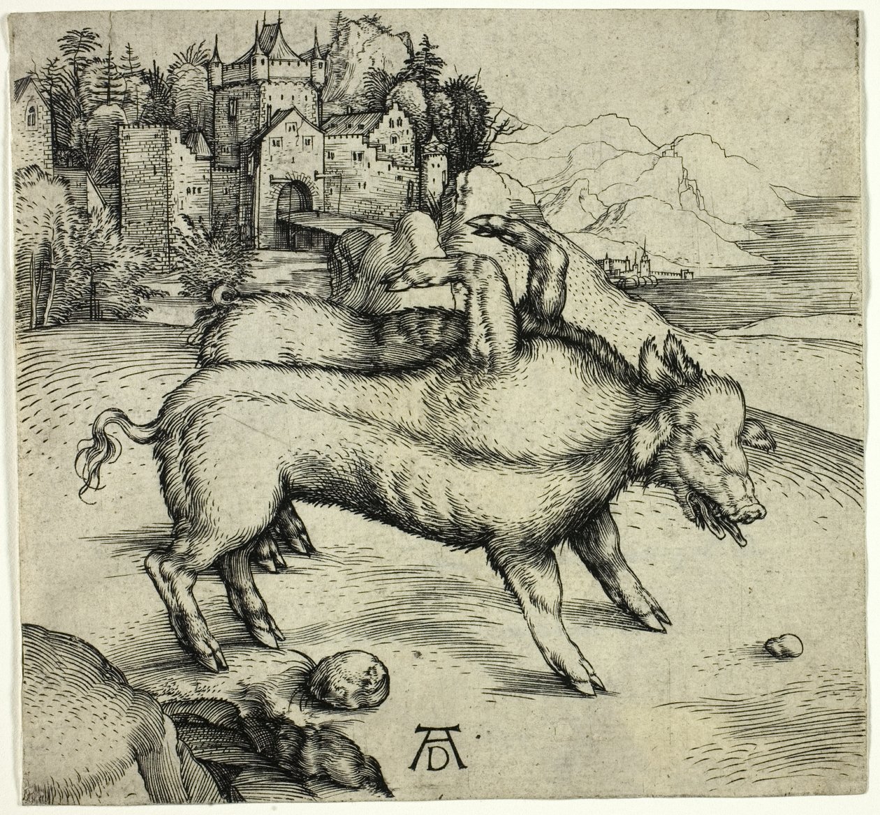 La Truie monstrueuse de Landser - Albrecht Dürer