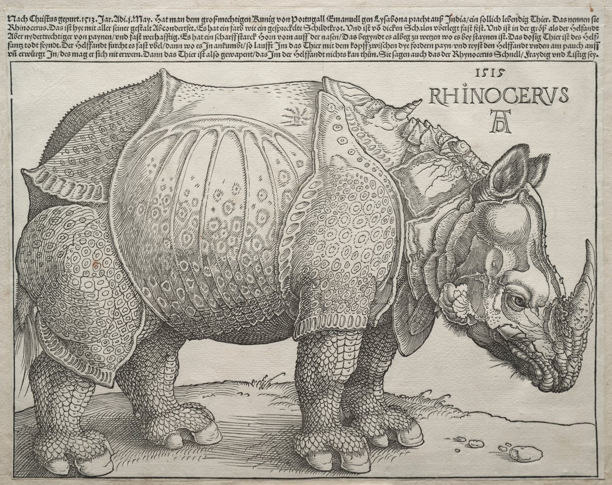 Le Rhinocéros - Albrecht Dürer