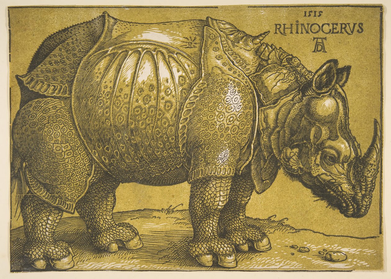 Le Rhinocéros, après 1620 - Albrecht Dürer