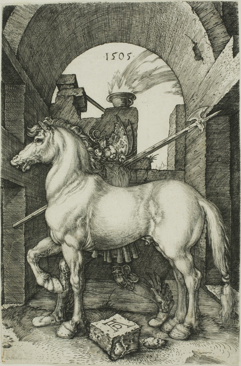 Le Petit Cheval - Albrecht Dürer