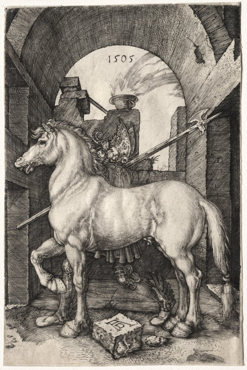 Le Petit Cheval - Albrecht Dürer