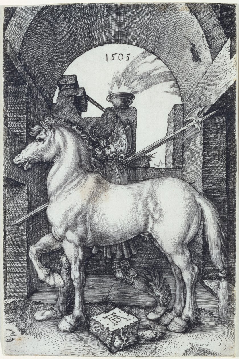 Le Petit Cheval - Albrecht Dürer