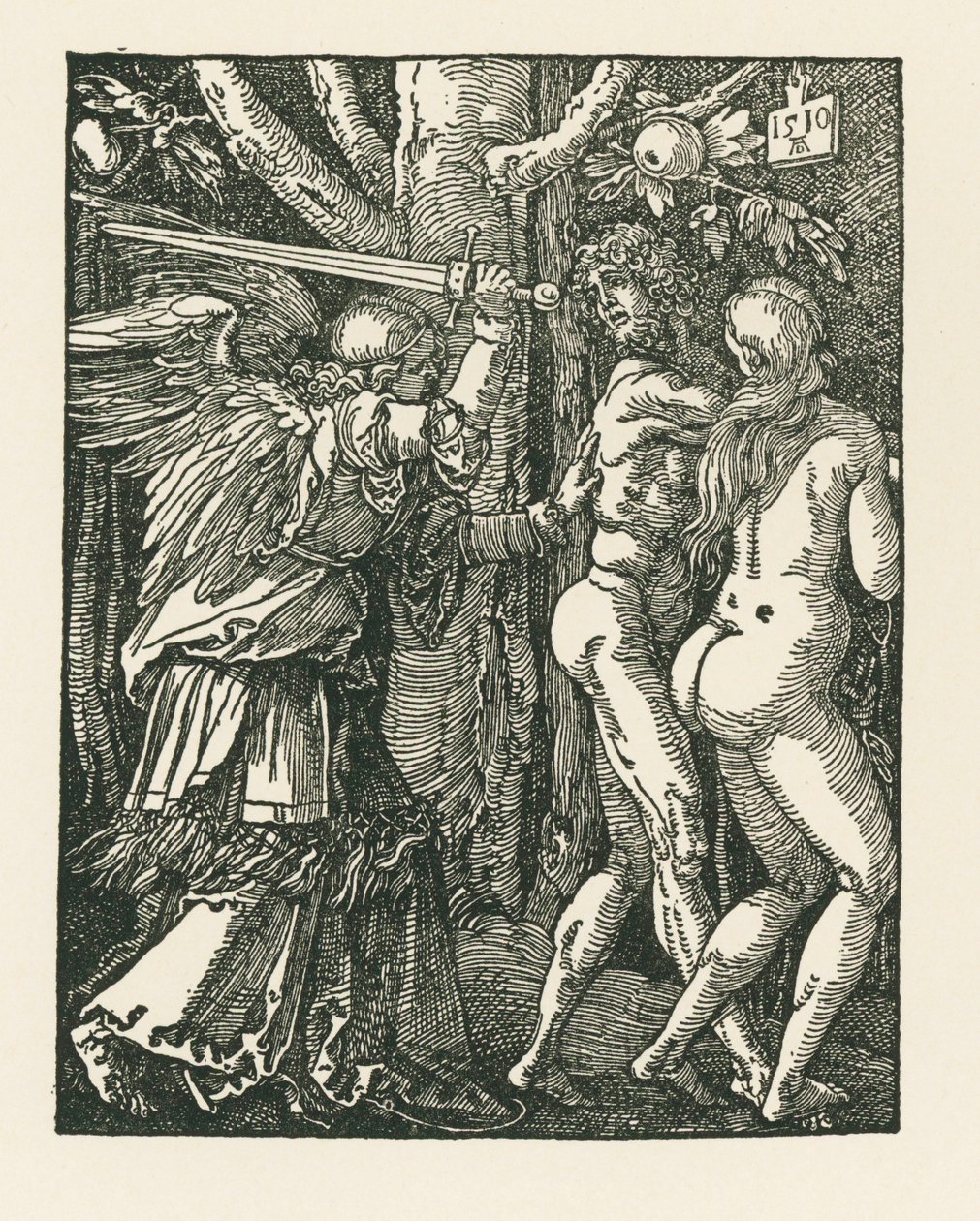 Expulsion du paradis - Albrecht Dürer or Duerer