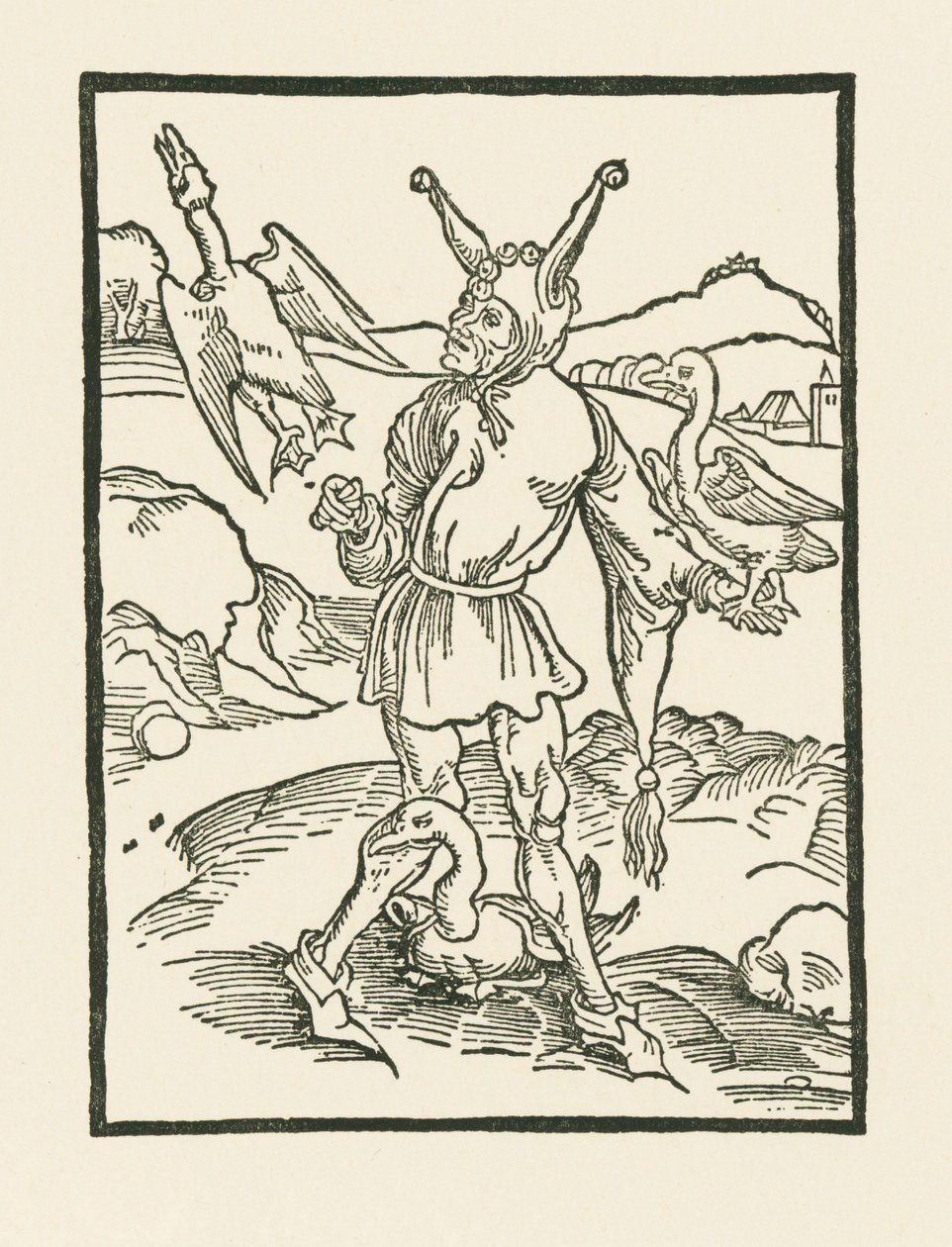 Narr hur as vern - Albrecht Dürer or Duerer
