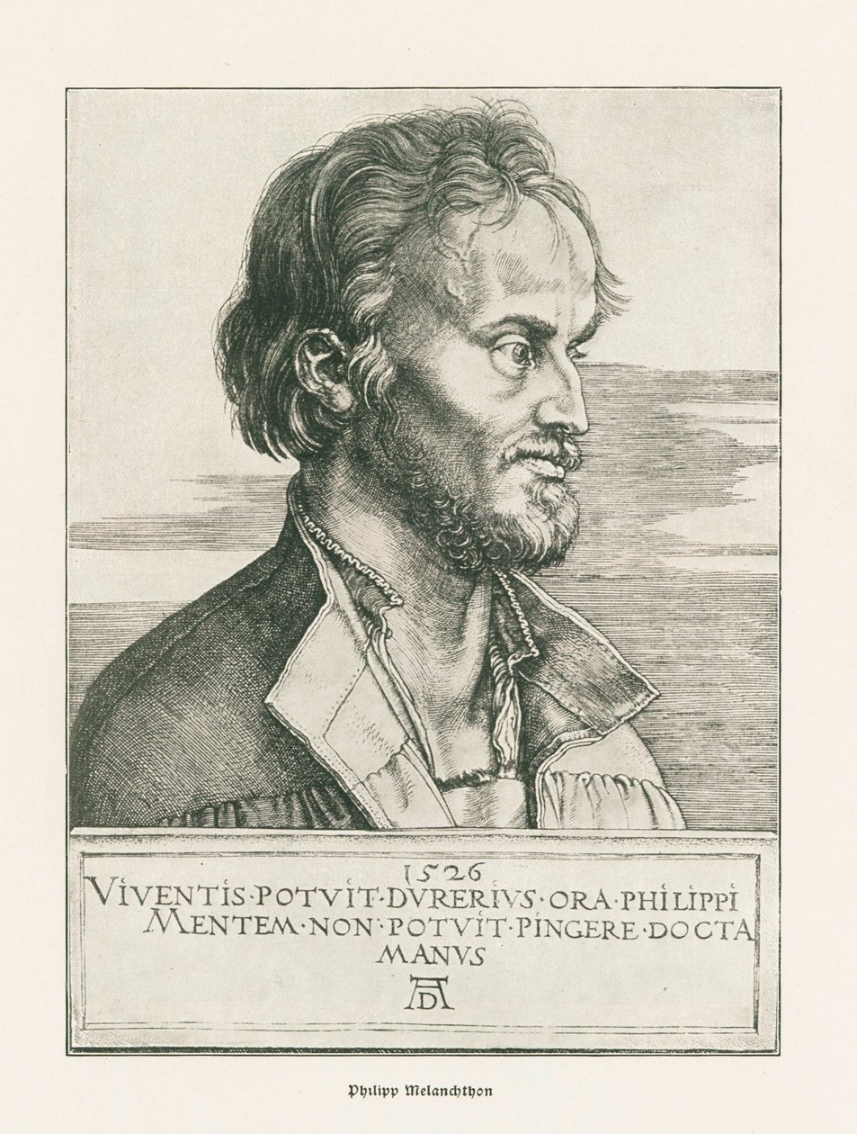 Philipp Melanchthon. 1526 (gravure) - Albrecht Dürer or Duerer