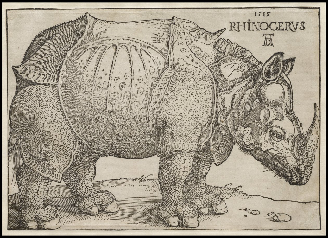 Le Rhinocéros, 1515 - Albrecht Dürer