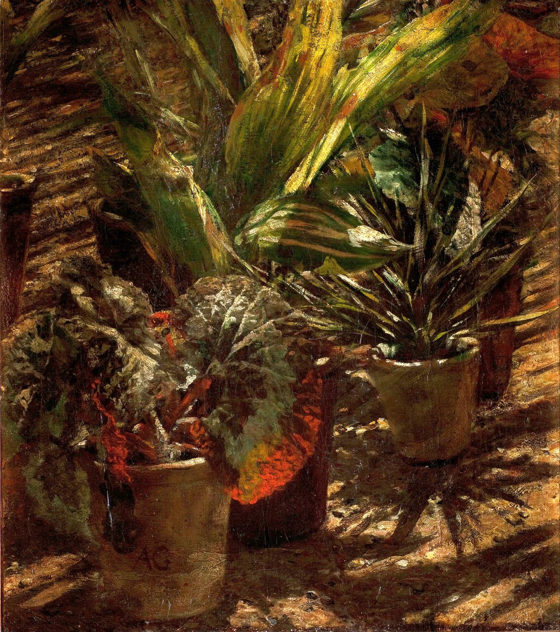 Bégonia - Aleksander Gierymski