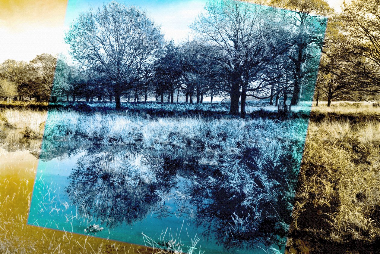 Note bleue - Alex Caminker