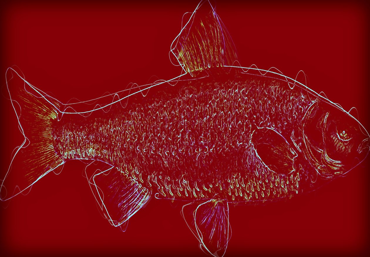 Poisson V, 2020 - Alex Caminker