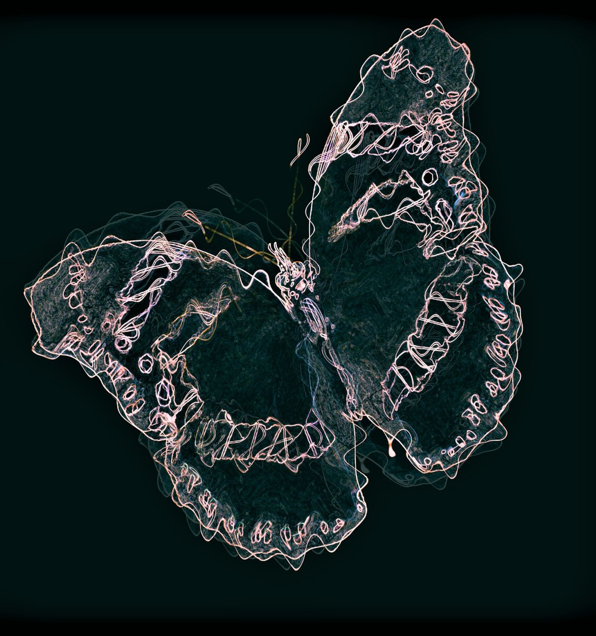 Papillon II, 2020 - Alex Caminker