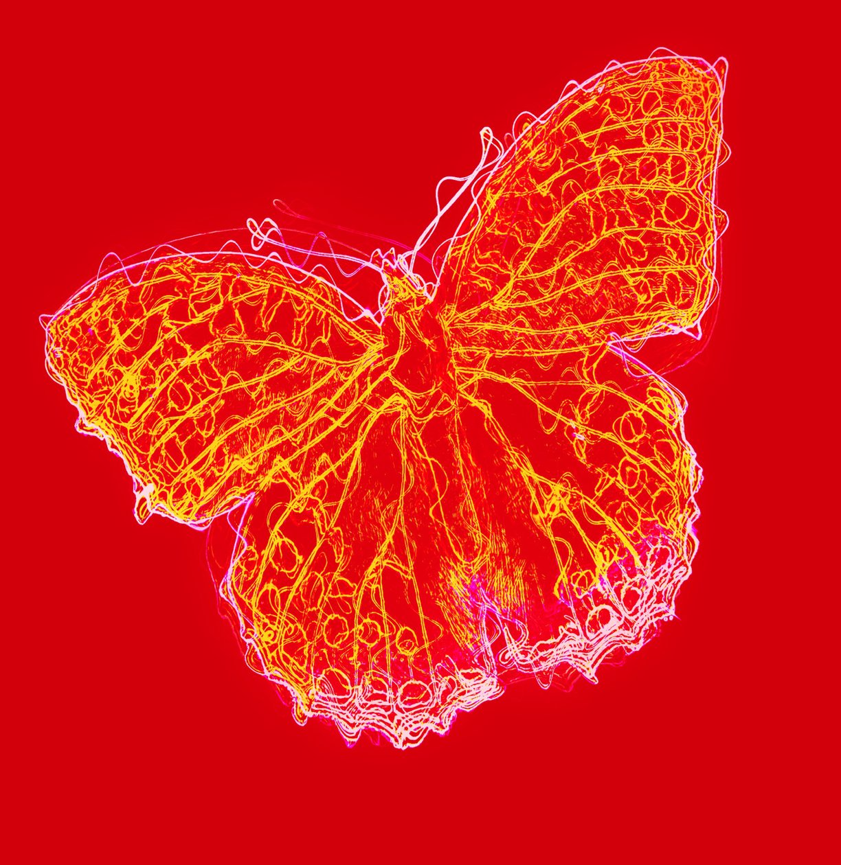 Papillon III, 2020 - Alex Caminker