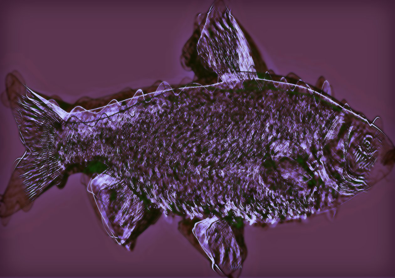 Poisson, 2020 - Alex Caminker