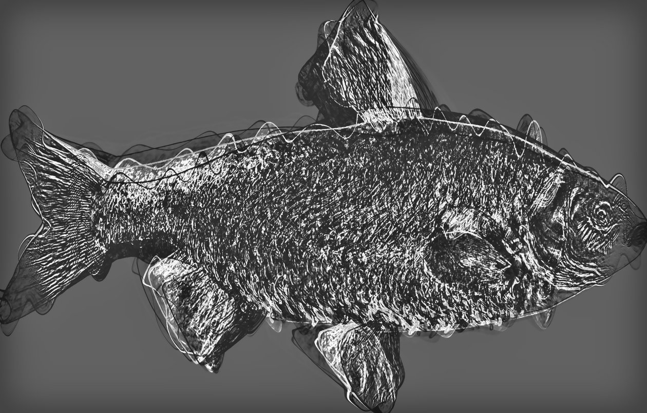 Poisson en gris, 2020 - Alex Caminker