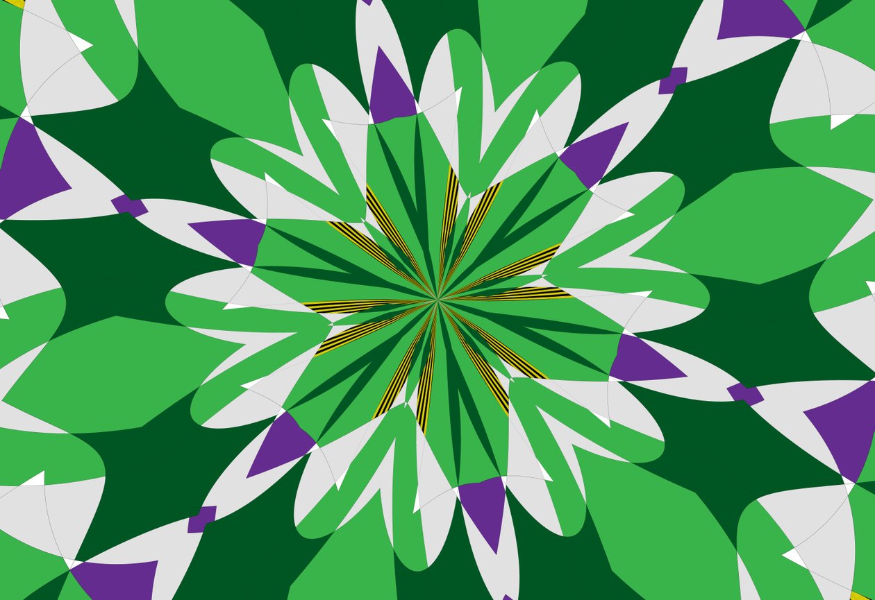 fleurs #25 - Alex Caminker