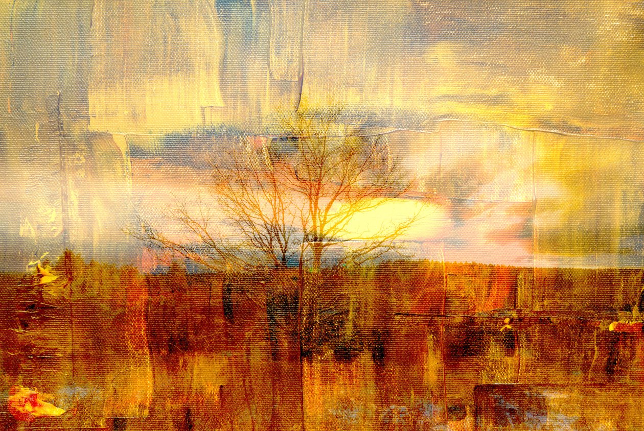 brouillard doré - Alex Caminker