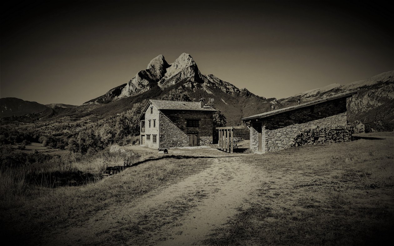 chemin de montagne - Alex Caminker